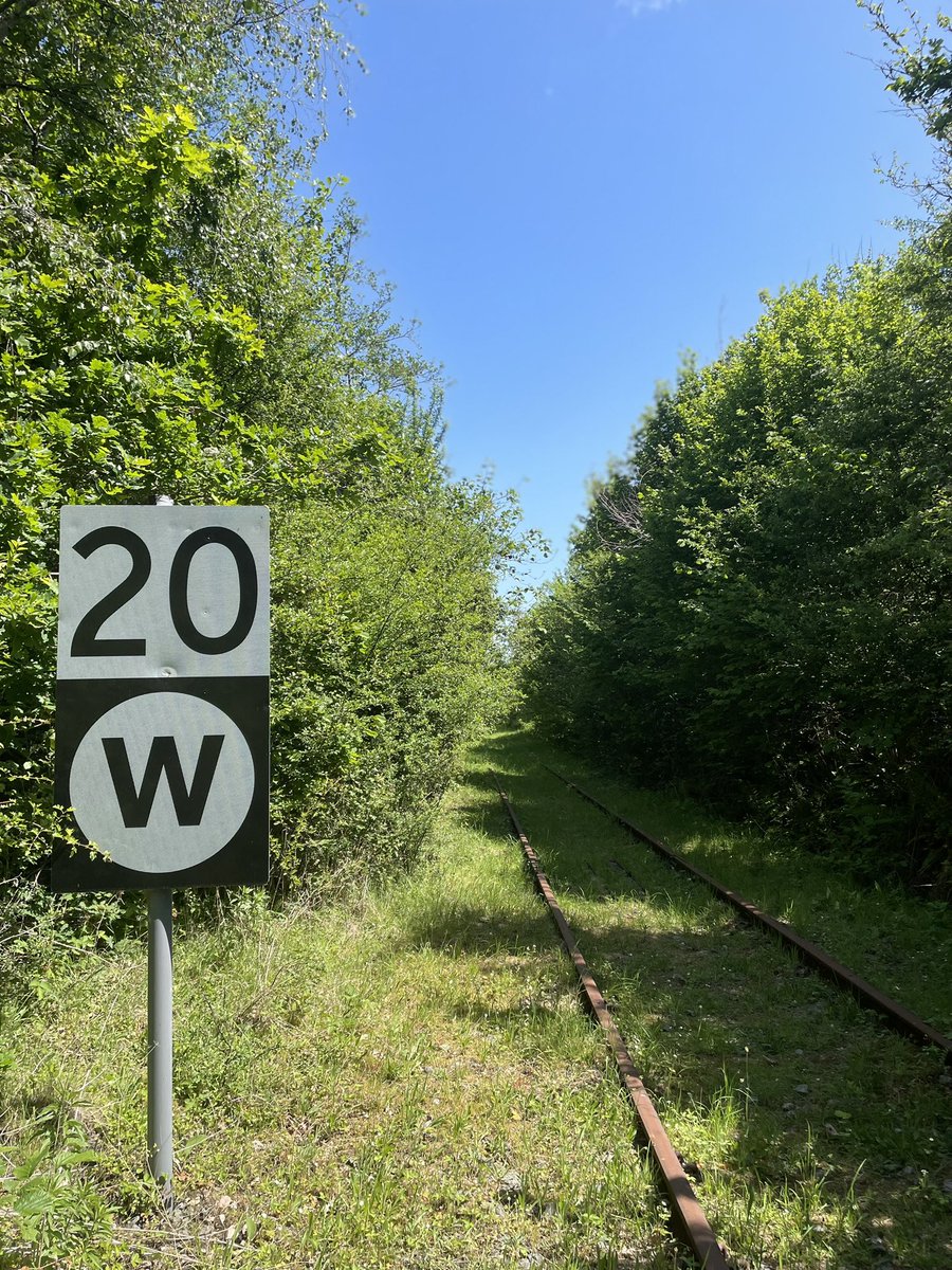 richardmpocock's tweet photo. Discovering the old railway line from tondu to porthcawl 🛤️📸🔥 https://t.co/XJitm3MlyY