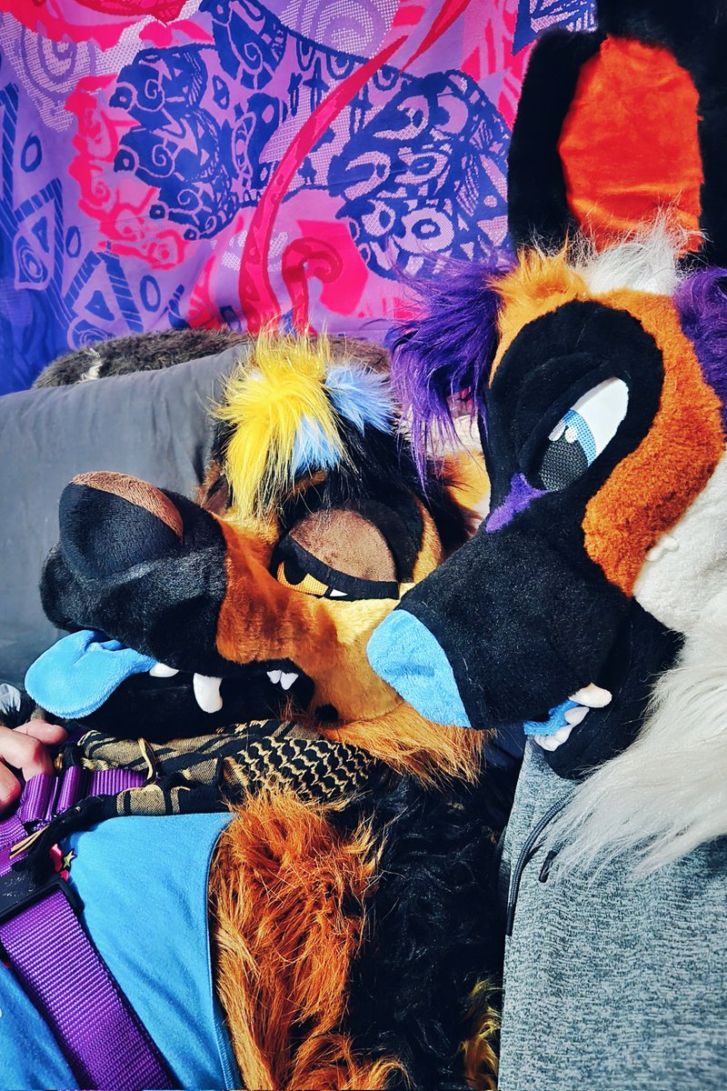 I am the suits new owner this is no longer the previous owner

I'll be posting the same content that you normally see from Dusk Yote including stuff together sometimes 😊

I'm a puppy! Awrawrwoof