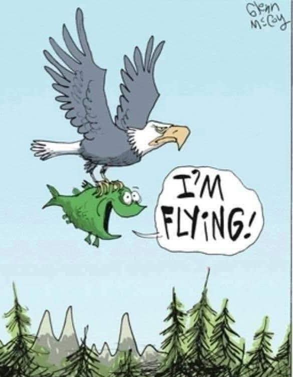 Valença tweet media