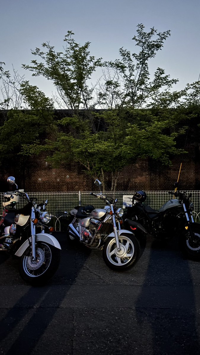 レベルアップしたので

名前　あさひ
年齢　19歳
性別　おなご
車種　shadow750
在住　大阪
好き　ツーリング　ドライブ
一言　呼ばれたら行きます
　　　全ジャンルのバイカーと遊びたいです

#バイク乗りと繋がりたい
#バイク乗りとして軽く自己紹介