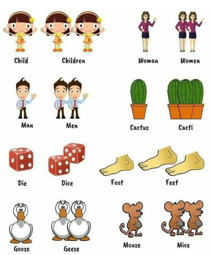 Evrenkntenglish's tweet image. #cumartesi #SaturdayVibes #TOEIC #IELTS #LearnEnglish #OnlineCoursePromotion #onlineeducation #Onlineclass #Inglishdictionary #inglés #ingilizce #vocabulary #vocab #English #englishspeakingunion #EnglishHouseAcademy #yds #YDS150 #yks2025 #yks #LanguageLearning #LANGUAGE