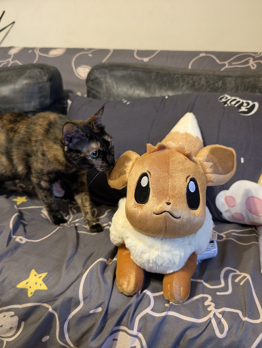 96ginUTDR's tweet image. ポケモンが二匹いる