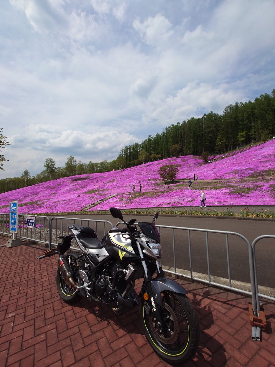 fumiMT07's tweet photo. 2025/5/17
#芝ざくら滝上公園
#YAMAHA
#mt25 https://t.co/EmGJj9oTOk