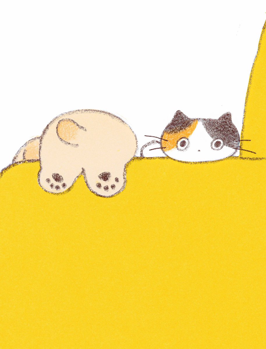 𝙲𝚑𝚒𝚕𝚕𝚒𝚗' 𝚘𝚗 𝚝𝚑𝚎 𝙲𝚘𝚞𝚌𝚑 🛋💛