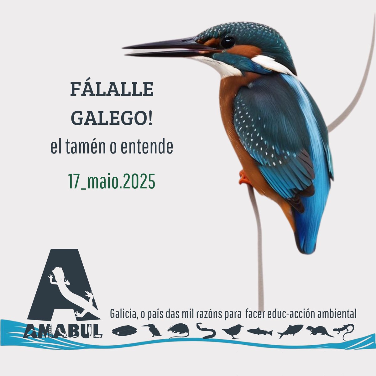 asocamabul's tweet photo. #LetrasGalegas #LetrasGalegas2025 https://t.co/ChAIPVm56m