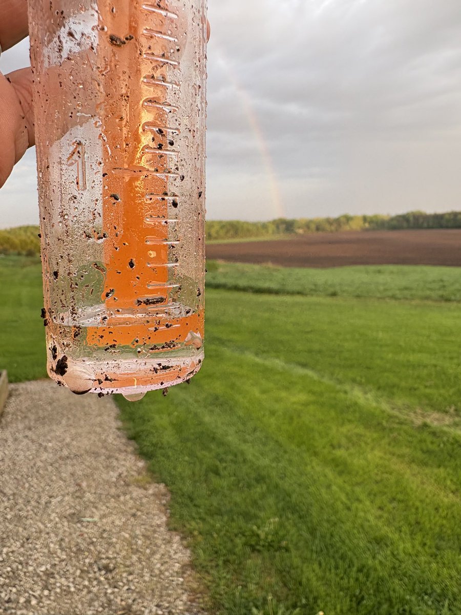 3/10ths overnight and a morning rainbow to boot! 💦 #Grow25