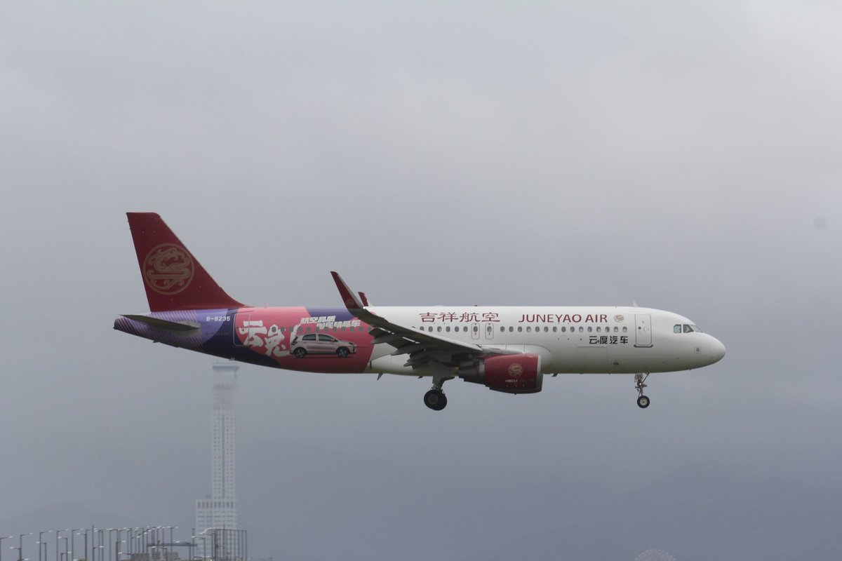 ヤッホー　（23日まで） ふぉーず Adidas Ninja Time ZX Torsion Shoes Gray Purple FW9831 Mens