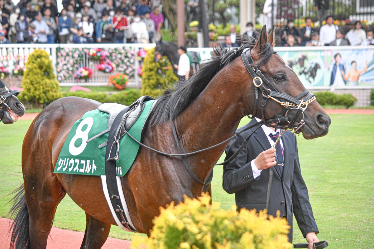 しゅんちゃん (@syun__chan) / X