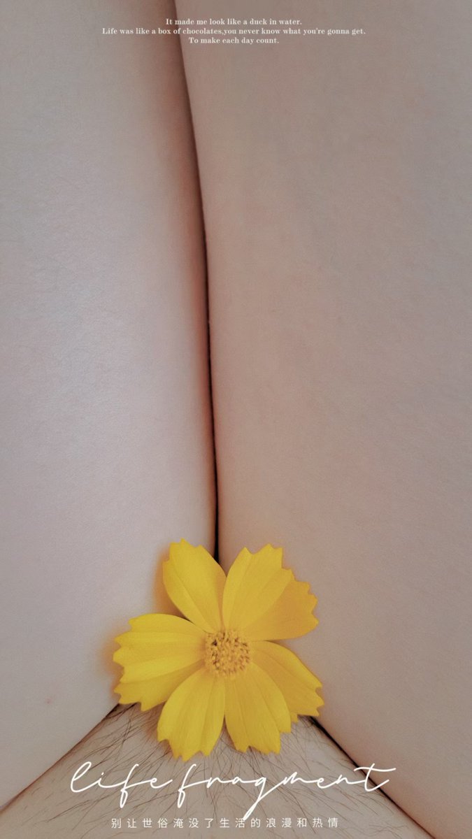 故事里的小黄花