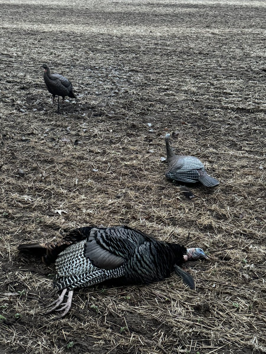 michaelnate's tweet image. 