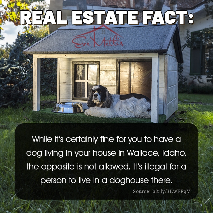Eve_Metlis's tweet image. In Wallace, ID, it’s illegal for a person to live in a doghouse.
Dogs: 1
Zoning laws: 1
#RealEstateFact #EveMetlisTeam #HousingHumor