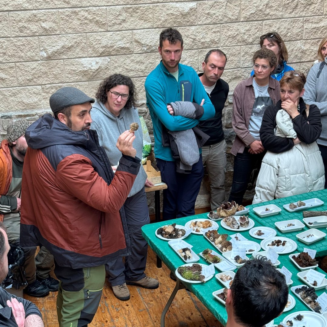 ¡Finaliza con éxito la 1ª edición del curso de Orientadores Micológicos!🍄📚

El 10 de mayo, en San Martín de la Virgen del Moncayo, los alumnos superaron su prueba final tras 200h de formación en #micoturismo, recolección sostenible y gestión de grupos🌱

¡Enhorabuena a todos!👏