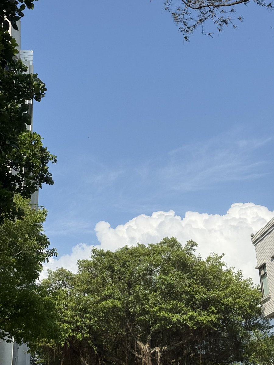 這個☁️看起來好像棉花糖🤤