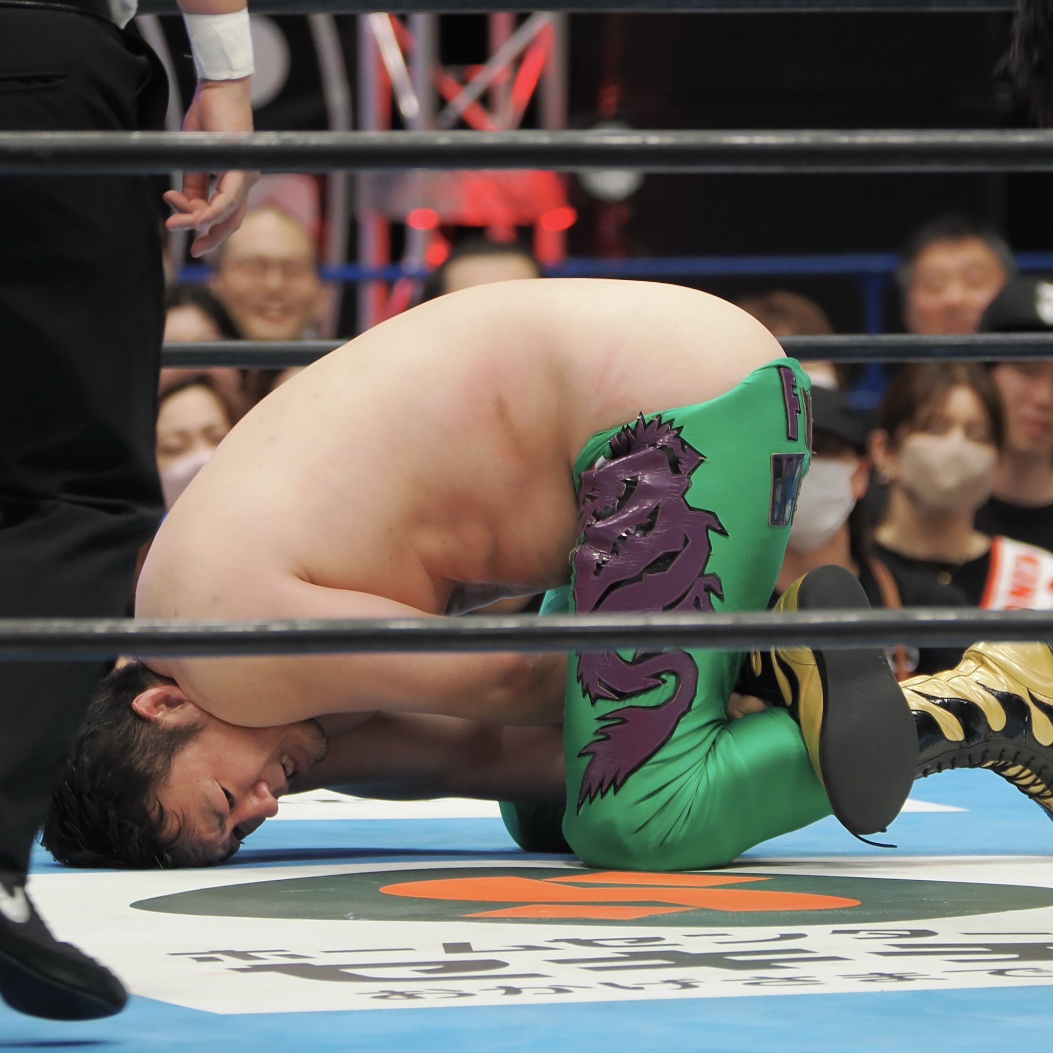 ★超激レア★新日本プロレス 選手バスA&B 2台セット 🐦🦊ぴょん🙏にょき🦊🐦 on X: 