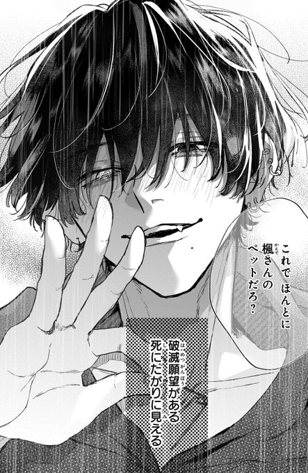 GrJXaonWsAA5cvH.jpg:small