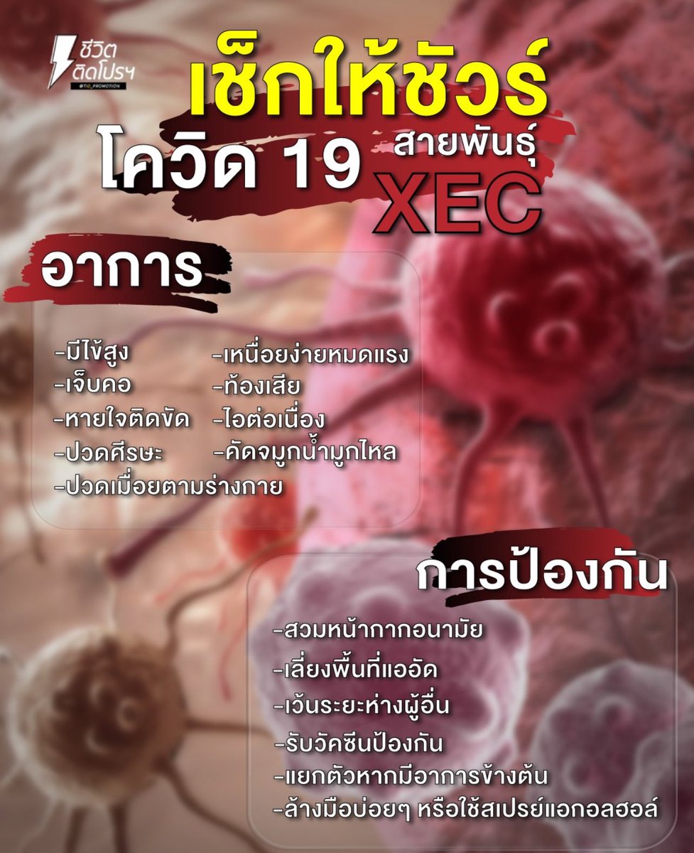 เอเวอร์เรส tweet media