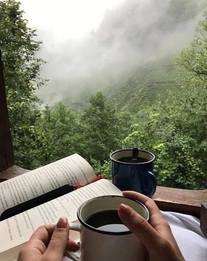 dailywitchcom's tweet photo. Little things in life hold magic. If you look closely, the ordinary becomes unique.

☕️ A morning cup of coffee with a view from the window.
🌼 The first flower this year on the windowsill.
🎼 A familiar melody.
💌 A letter from a long-unseen friend. https://t.co/SgZ5zWuKBm