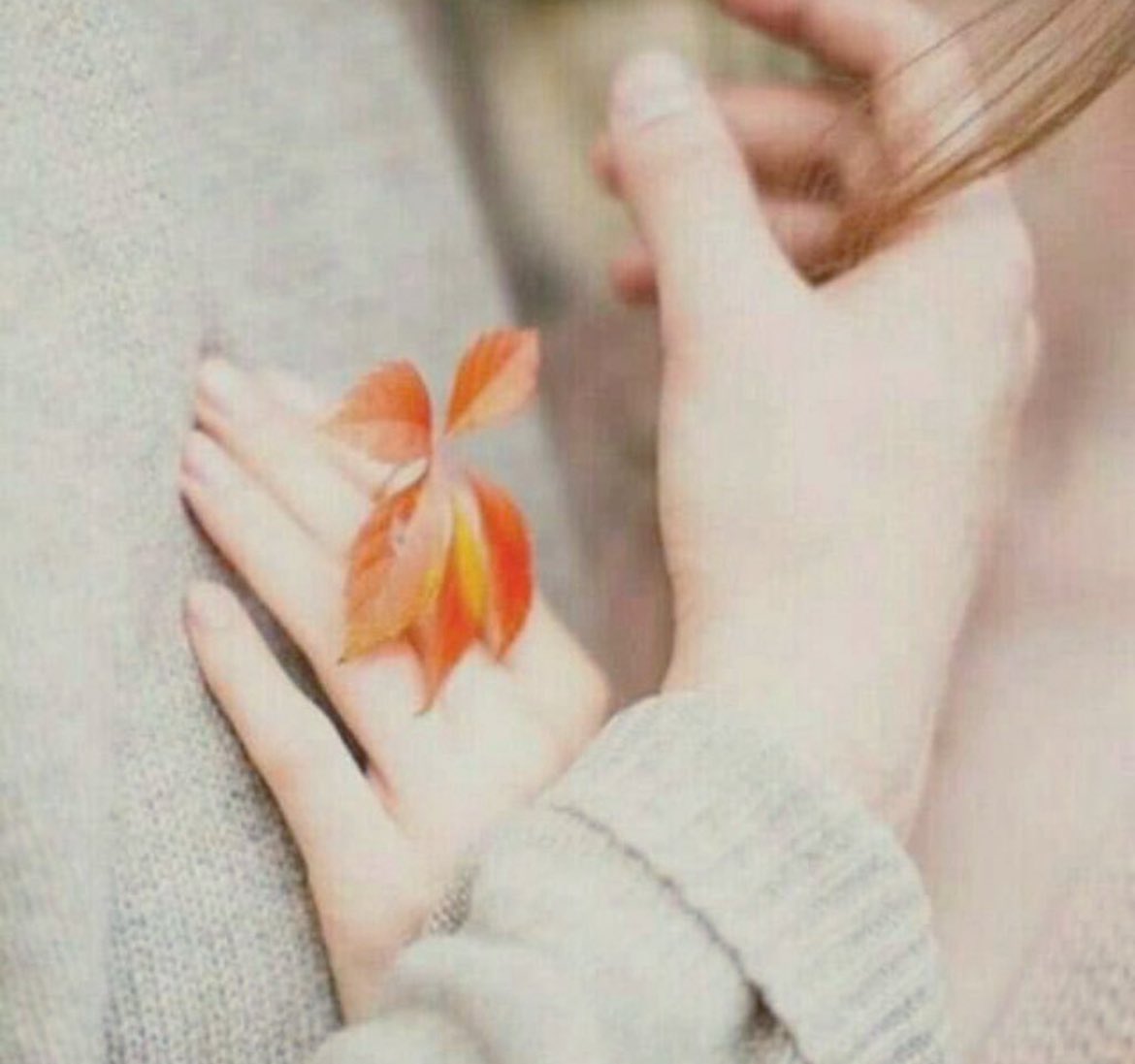 -

أحبك ..
فمنذُ أن طرقتَ أبواب قلبي ولامستَ شِغاف الروح
سكنّتَ هاجسي وتفكيري .. لك وحدك يبتهج الفؤاد، وحدك من يملك مفاتيح روحي ..!
'