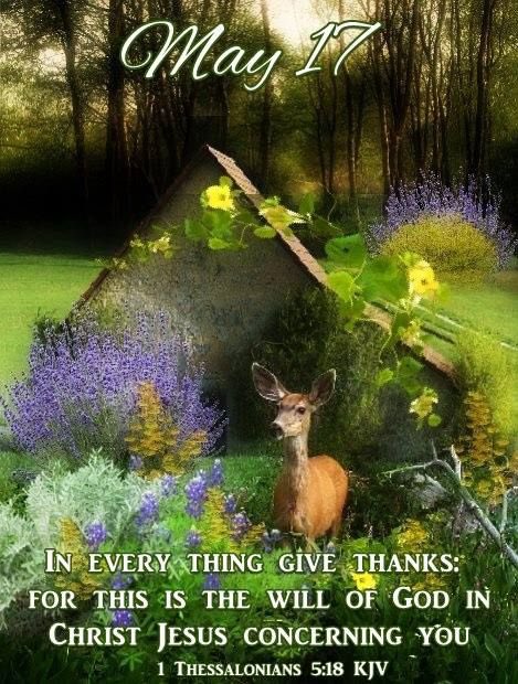 Good Morning! 🌧️🌫️😎😇