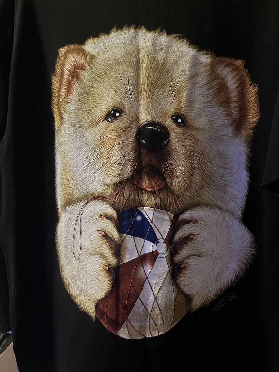 Lottobunno's tweet photo. Mom: “Wear that 🐶 or 🐱 shirt.”

🐰: “Which one? That shirt? But I thought it was a 🐻…”

Mom: “idk just wear it”

So I took another look at it

My brother who overheard our conversation said: “It’s a 🐶”

I looked again.

“…Oh yeah, it is a 🐶 Mom” https://t.co/1l8HD3emZs