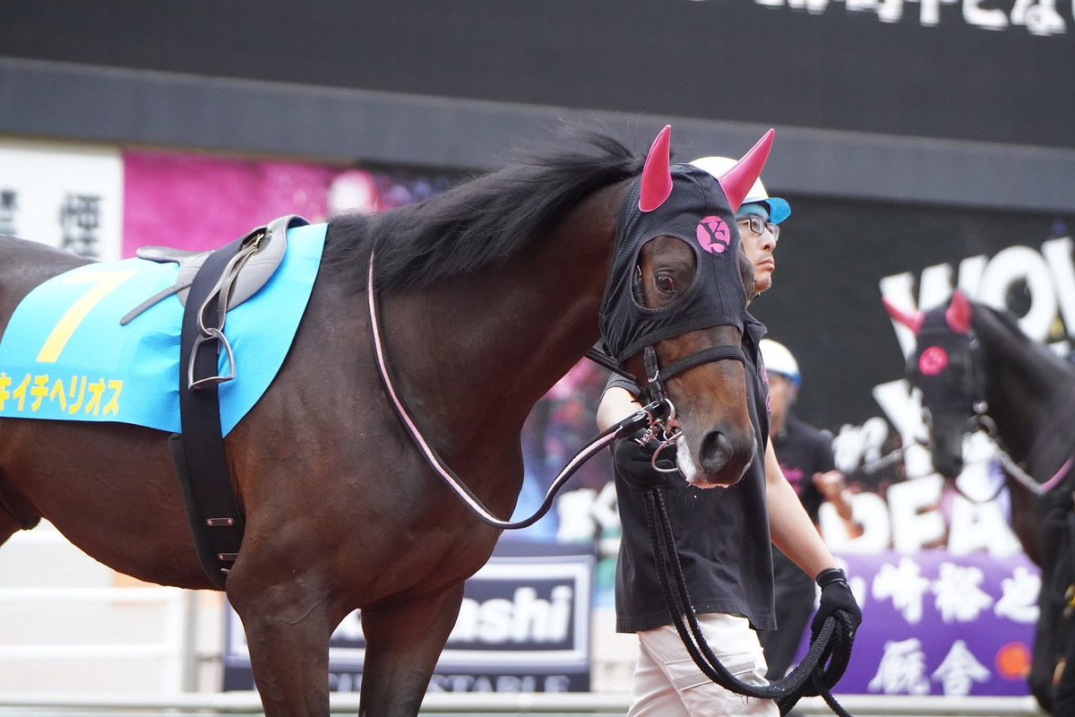 3月10日に退厩。競馬場に入厩して今期弊社の1発目での川崎新馬戦勝利‼️
幸先良さげで色々楽しみです🤗
1番人気のセカンドも弊社育成馬で生産者さんも一緒、入厩も一緒で仲良しです✨
#キイチヘリオス
#モンザセカンド