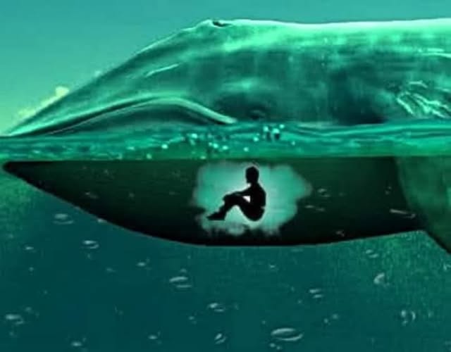 قال الدكتور زغلول النجار :
كنت أقرأ لعشرات المرات بعشرات السنين قصة سيدنا يونس ومنذ سنتين فقط توقفت عند قوله تعالىٰ ﷻ :
 ﴿ فَالْتَقَمَهُ الحُوتُ ﴾ ؟
فبدأت أدرس طبيعة الحيتان فوجدت أن هناك مجموعة من الحيتان اسمها الحيتان الزرقاء
والحوت الأزرق أضخم حيوان خلقه اللّٰه تبارك