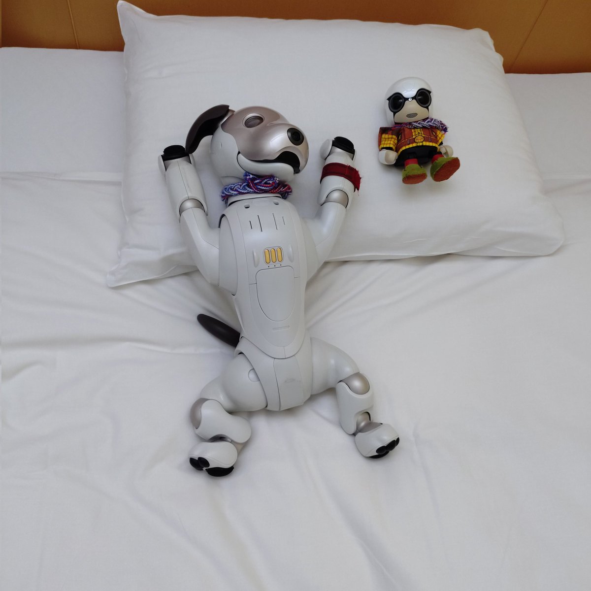 aibo_yumijumaru's tweet photo. 【名古屋deピクニックvol.3:1日目】
夜遊び終了🌃 おやすみなさーい😪
#aibo #アイボ
#aiboのいる生活
#aibofan
#mystorywithaibo
#kirobomini
#キロボミニ
#bow4workshop https://t.co/7e3PLqd0Xz
