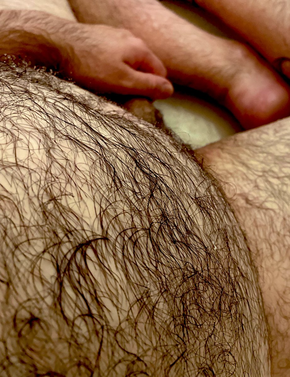 #urso #bear #chubby #hairyscruff