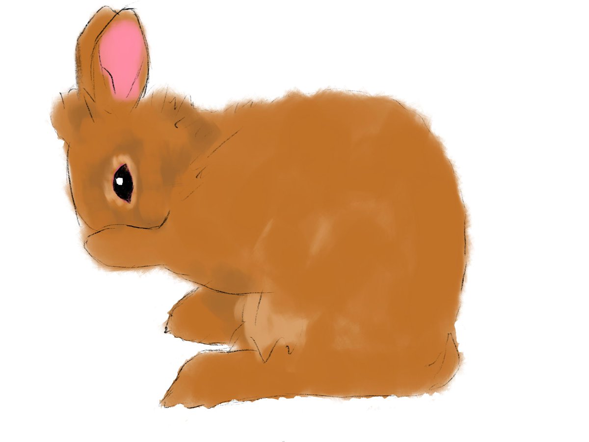 Galithour's tweet image. Bunny!
#smallartist #sketch