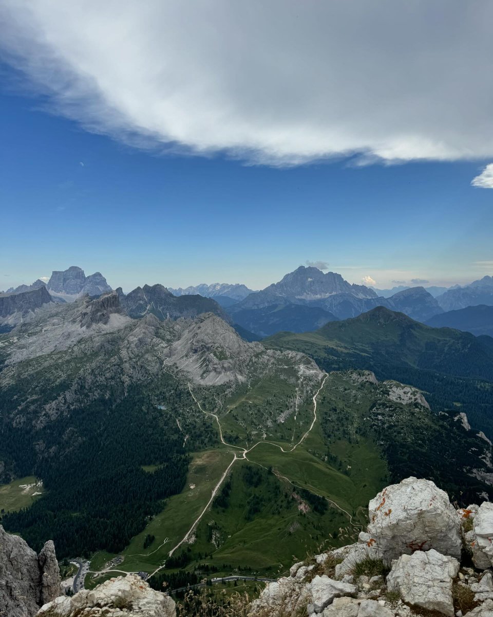 Collette tweet media