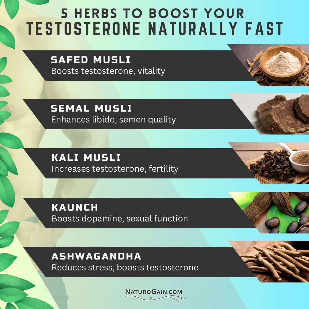 topmenissues's tweet image. 5 Herbs to Boost Your Testosterone Naturally Fast

#boosttestosteronenaturally #menshealthtips