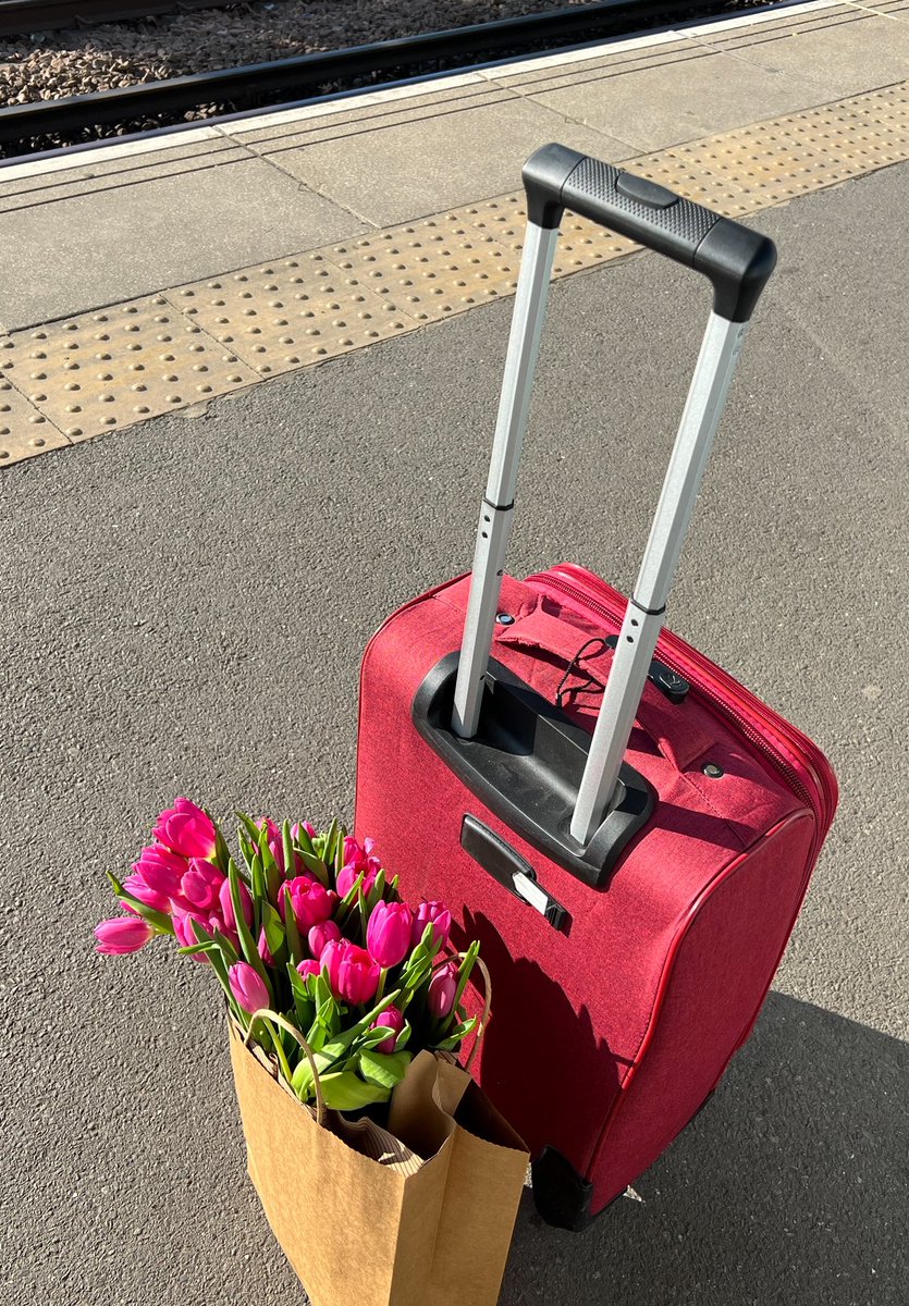 mrfeelgood92's tweet photo. From London to Jordan, my sister’s favorite flowers flew just for her. Hand-arranged with love for the most beautiful graduate. Proud beyond words https://t.co/vrVy9Hcn6C
