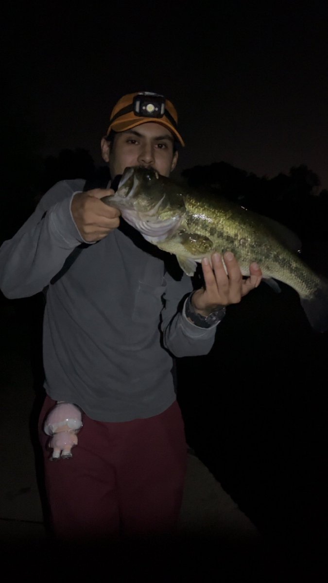 jcrzombie's tweet photo. Night fishing = Big bass https://t.co/NmVlGMCJQq