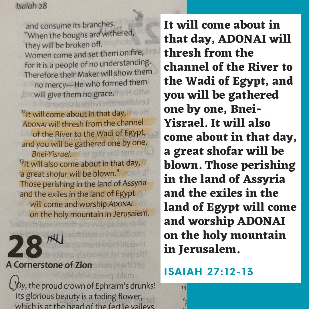 ravdaveed's tweet image. Shabbat Shalom #Isaiah27v12_13 #TLV #TLVBible
•
#WWL #WordAsAWayOfLife #CoffeeAndTheBible #Discipleship #CamperLife #ShabbatShalom