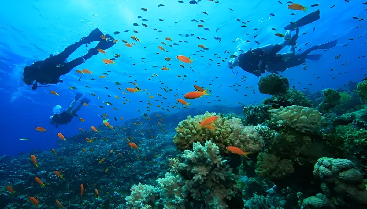 📍Agatti Island, Lakshadweep 🇮🇳

The world's best beaches are in India.