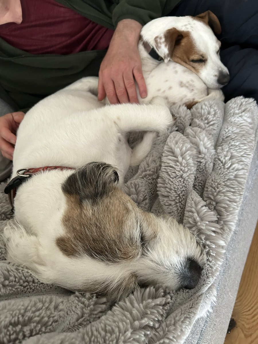 I luffs the weekends 🥰