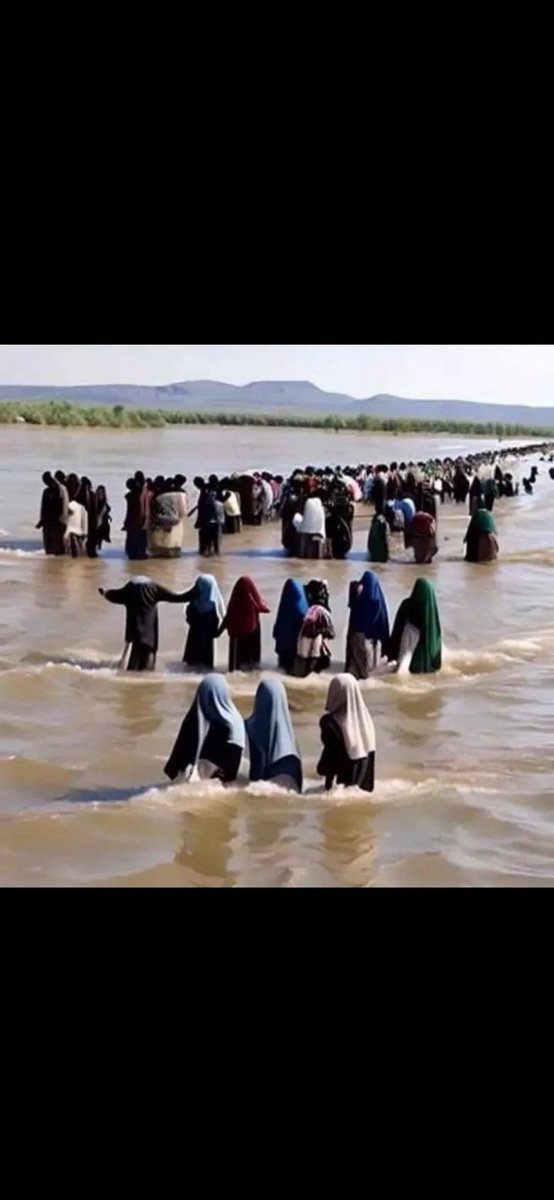 <a href="/proudelephant/"></a>