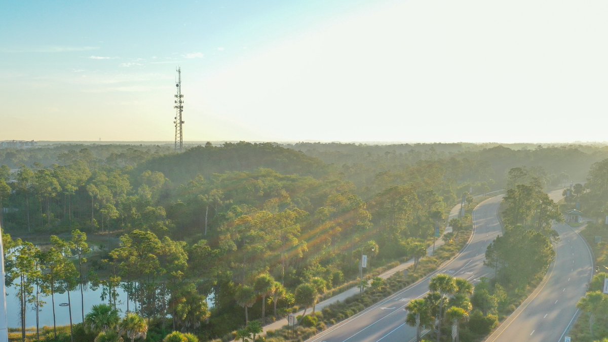 Florida Gulf Coast University (@fgcu) on Twitter photo Dawn’s first light, spilling over campus in a golden glow. ☀️🌴 #fgcu Dawn’s first light, spilling over campus in a golden glow. ☀️🌴 #fgcu