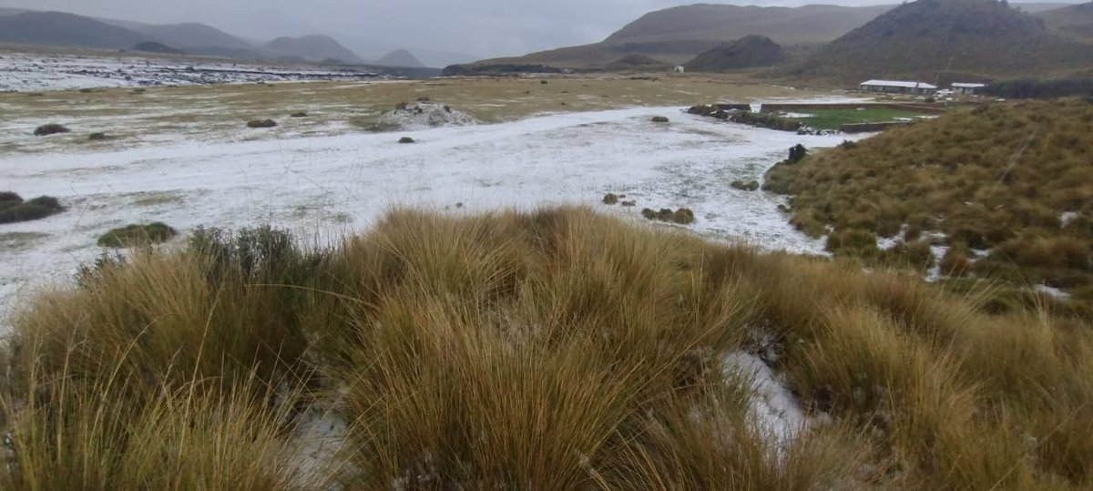 LuisDia04141689's tweet photo. PAISAJES INOVIDABLES #ANTISANA #COTOPAXI #SINCHOLAHUA https://t.co/k1GQoVKrHd