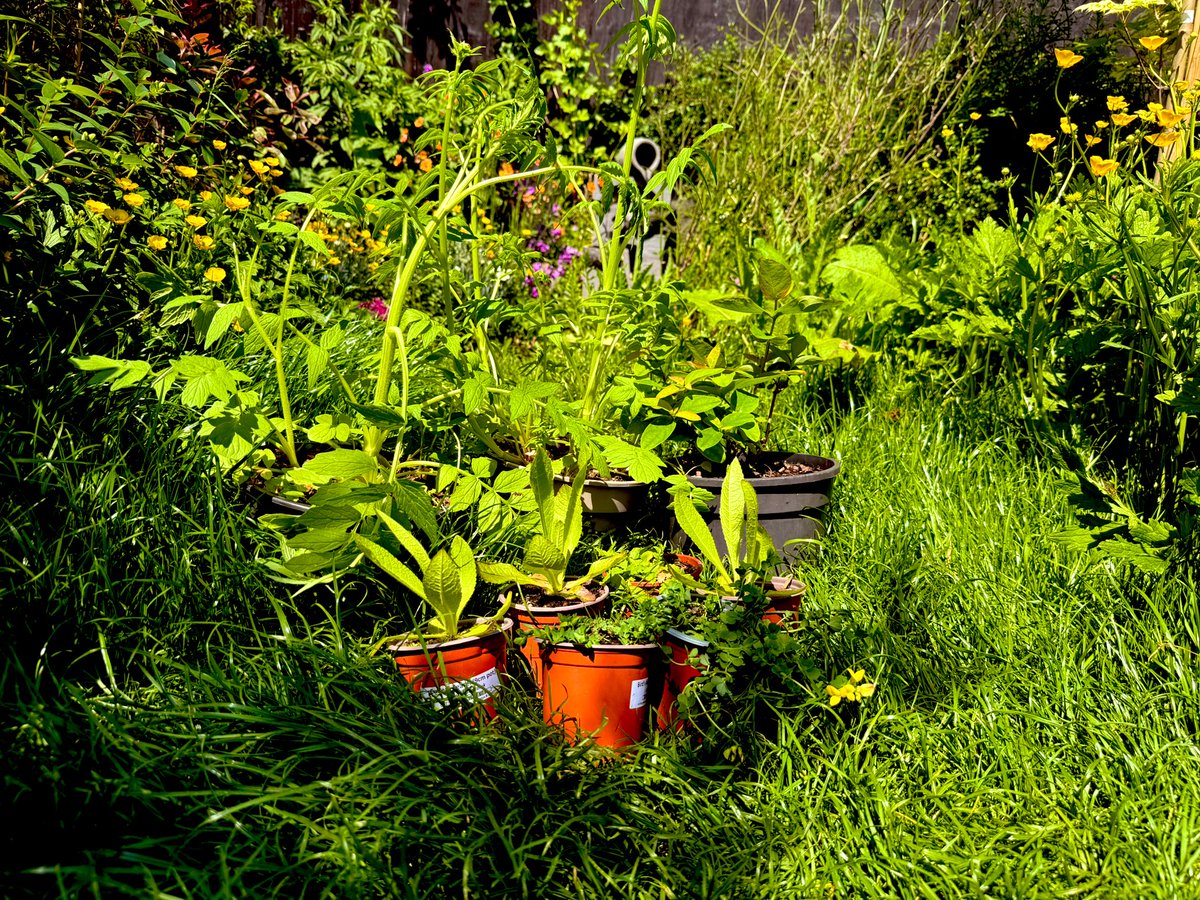 Julia Wimbush tweet media