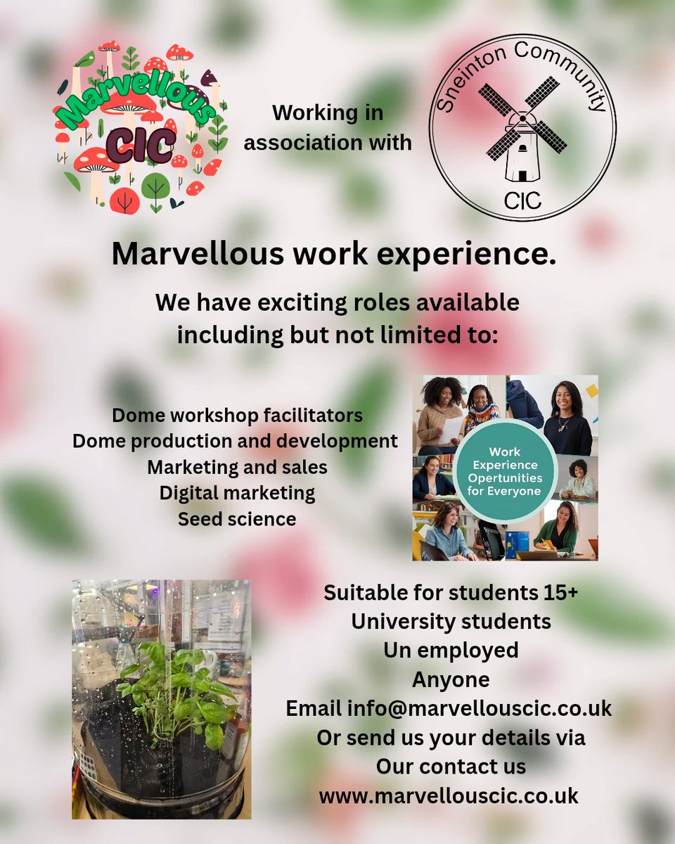 Work experience placements.