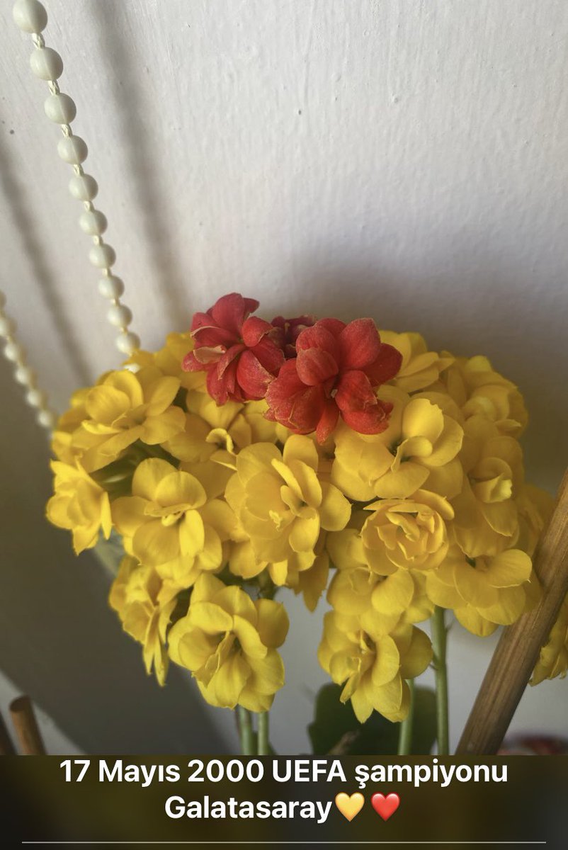 #17mayis2000 💛❤️