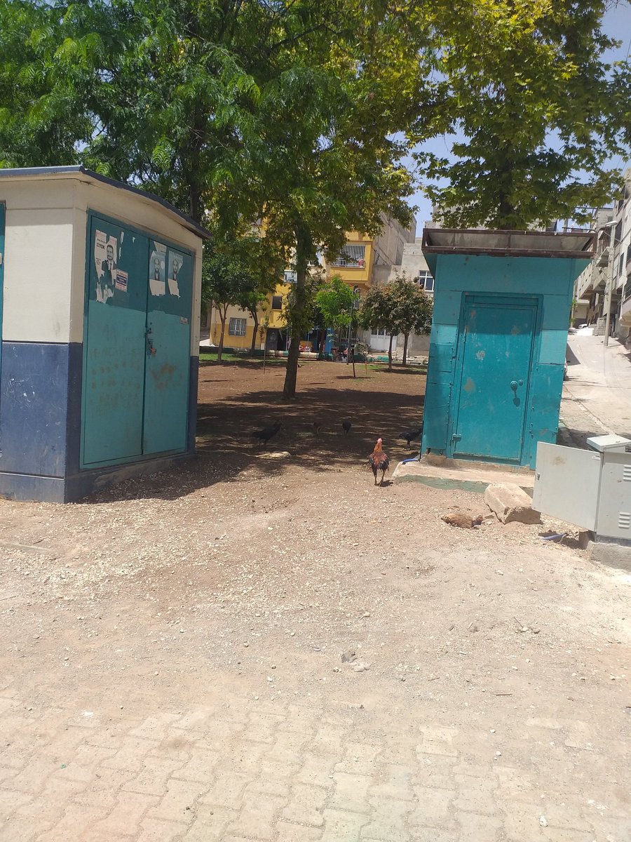 Şahinbey bld başkanı Sayın mehmet tahmazogluna açık çağrımdır sizden rica ediyorum gelip şanliurfa merkez haliliye ilçesi devteşti mah 2183 sokakta bulunan bu atık parkımızı kurtarırmısınız <a href="/mcanpolatnet/">Mehmet CANPOLAT 🇹🇷</a> <a href="/mbagmanci63/">MUSTAFA BAĞMANCI</a> <a href="/haliliye_bld/">Haliliye Belediyesi 🇹🇷</a> <a href="/yarenhoca63/">Fatma Yaren Gül</a> @Asalet632363 <a href="/mtahmazoglu/">Mehmet Tahmazoğlu 🇹🇷</a>