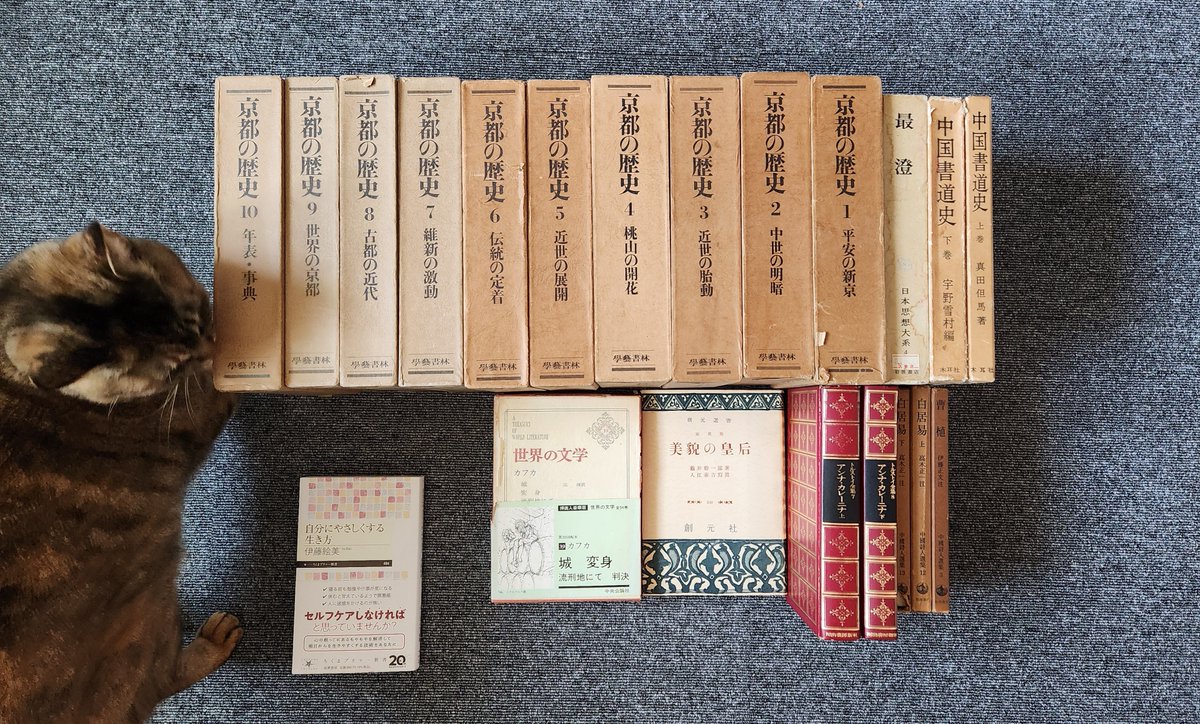 そういえば、GW中にあった四天王寺の「春の大古書祭り」の戦利品です。2日に分けて行きました。新刊書もしっかり買ってます。秋も無論行きます。
#四天王寺 #春の大古書祭り #読書好きな人と繋がりたい #読書 #積読