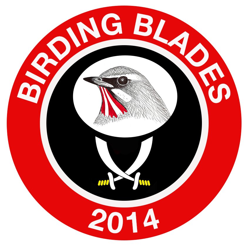 BirdingBlades's tweet photo. #birdingblades are going to Wembley! ⚔️👊⚔️
Represented from:
Barnsley
Doncaster
Scarborough 
York
London
Sheffield 
Luxembourg 

Any other Birding Blades?⏬️
#twitterblades https://t.co/N6Tpk350dm