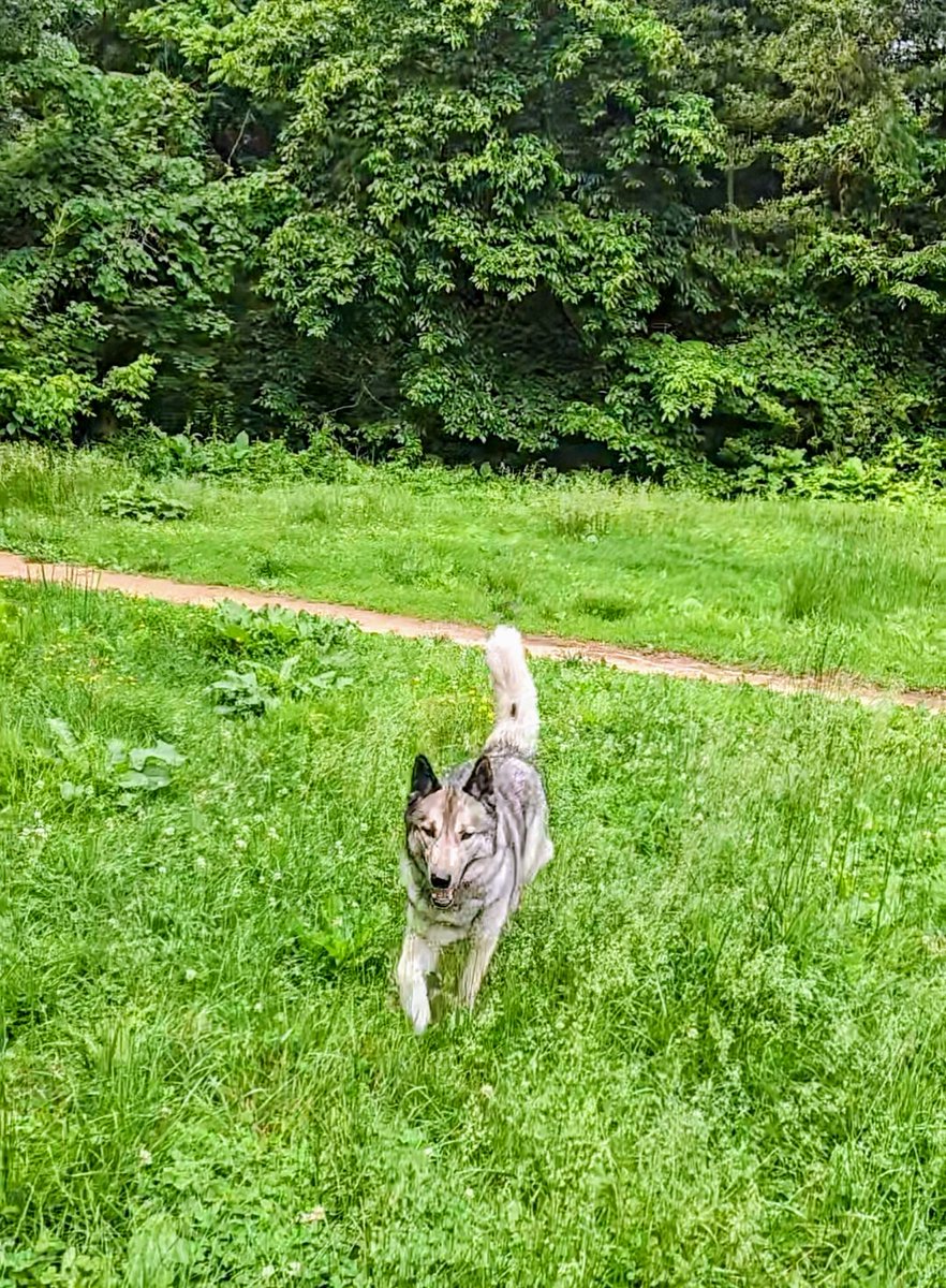 Not now. 

"Not now" I repeat to you every little day. Still, you ask without understanding "when can we play?" I insist, but still, you must list the tips, to ensure a life worth lived. 
Showing the worth of this earth without my knowing nod, how can you be so sure we happen at