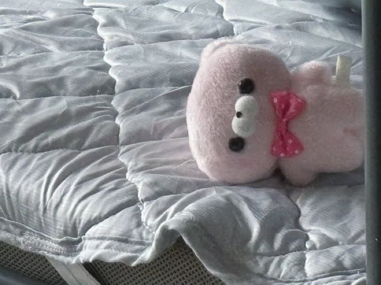 落ち込むぬいぐるみ (@depressed_nui) on Twitter photo 