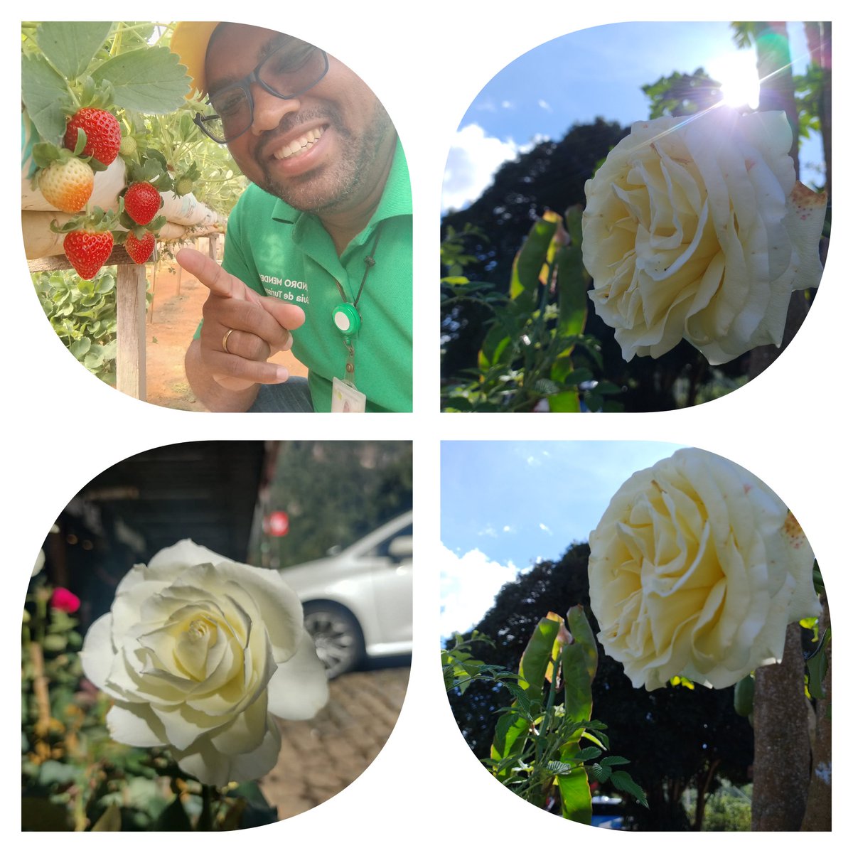 SandroM73059409's tweet image. FLORES NA FOTO - Teresópolis/RJ

A vida é mais bela com viagens e flores.
Sandro Mendes

#pazebem
#floresnafotosm