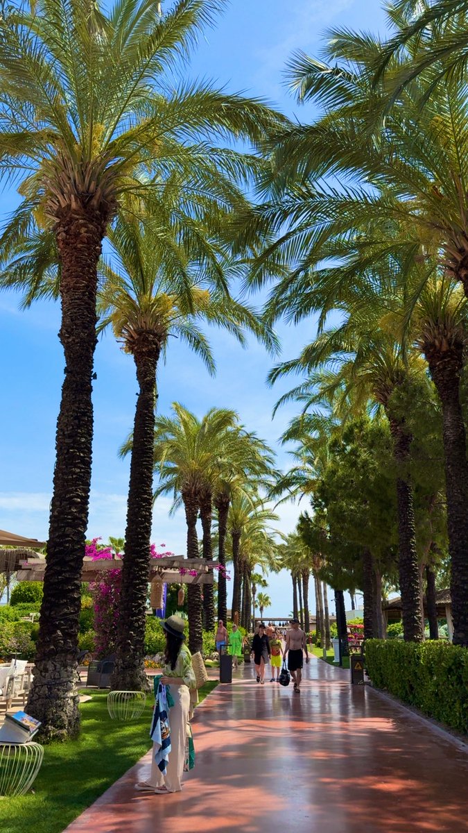 Greckothe1's tweet photo. Blessed trading life 

4 out of 5 months this year I’m traveling https://t.co/jzwwPgWlL9
