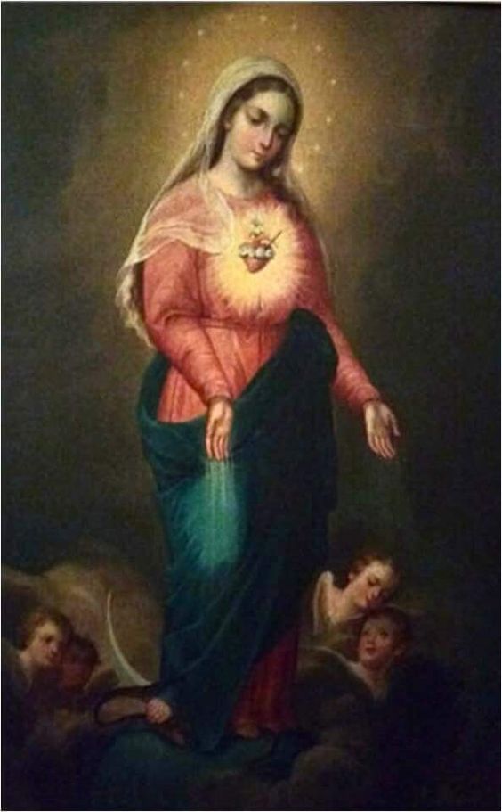 Coração Imaculado de Maria, rogai por nós que recorremos a vós.